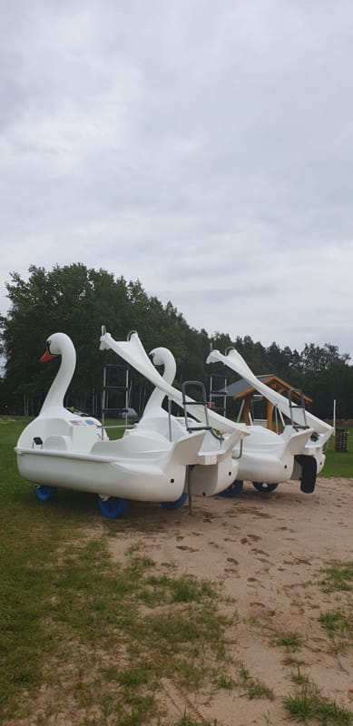 Kalna Raskumi, Viesu nams, Vecpiebalga, Alauksta ezers | Swan water bike with water slide