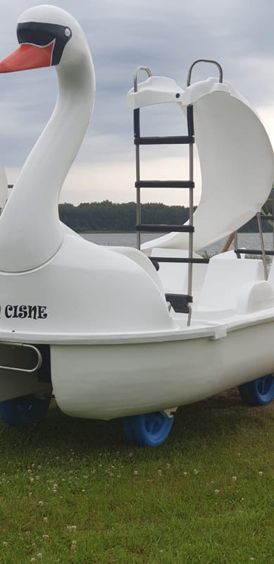 Kalna Raskumi, Viesu nams, Vecpiebalga, Alauksta ezers | Swan water bike with water slide