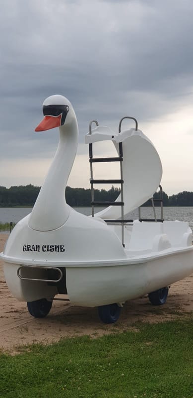 Kalna Raskumi, Viesu nams, Vecpiebalga, Alauksta ezers | Swan water bike with water slide