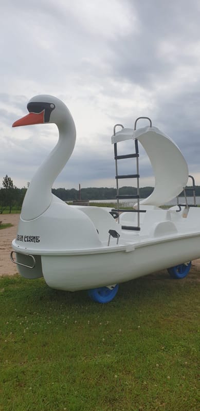 Kalna Raskumi, Viesu nams, Vecpiebalga, Alauksta ezers | Swan water bike with water slide